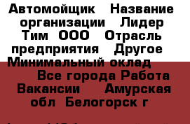 Автомойщик › Название организации ­ Лидер Тим, ООО › Отрасль предприятия ­ Другое › Минимальный оклад ­ 19 000 - Все города Работа » Вакансии   . Амурская обл.,Белогорск г.